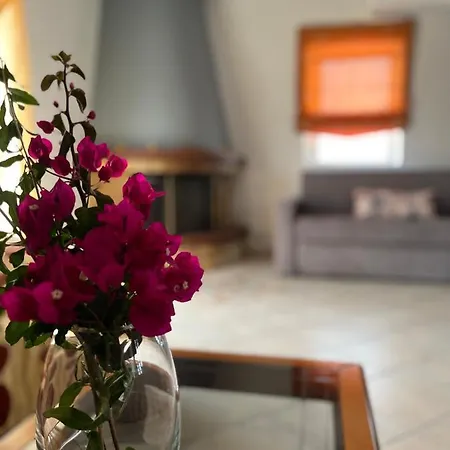 ενθύμιον ヴィラ *